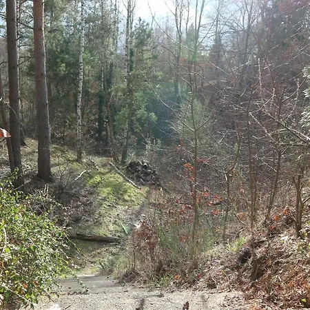 Holiday home Mit Pool Zum Traeumen Und Entspannen Fuer Alle Sinne Bad Schmiedeberg