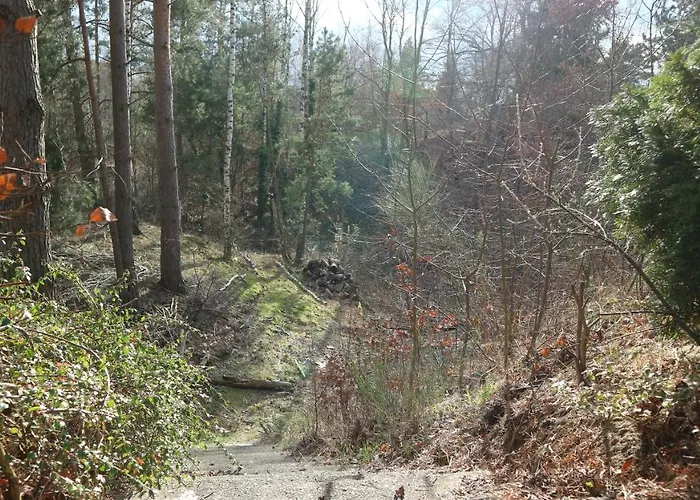 Dom wakacyjny Mit Pool Zum Traeumen Und Entspannen Fuer Alle Sinne Bad Schmiedeberg