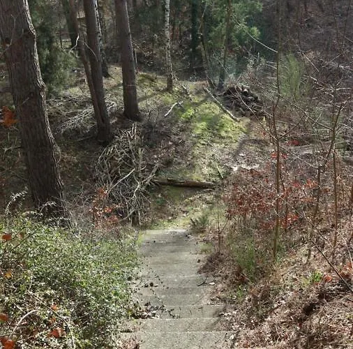 Mit Pool Zum Traeumen Und Entspannen Fuer Alle Sinne